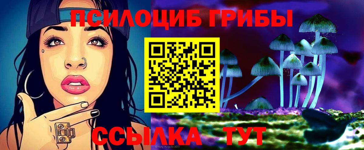 Псилоцибиновые грибы GOLDEN TEACHER  Вход с VPN  Куйбышев 