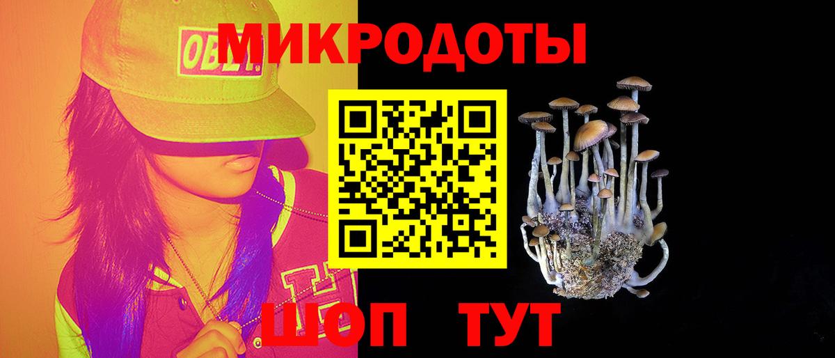 Псилоцибиновые грибы GOLDEN TEACHER Куйбышев
